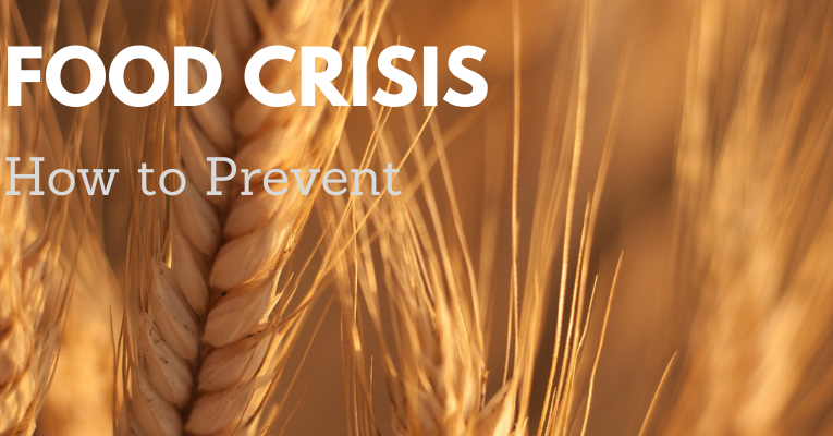 Food Crisis: Are We Prepared?